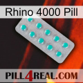 Rhino 4000 Pill 28